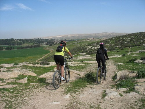 מרכז ג'ו אלון